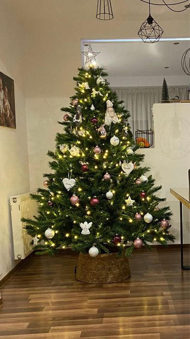 Brad de Craciun 2.1m