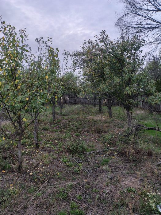 Unic Proptietar vând teren intravilan și extravilan cu suprafață 8245