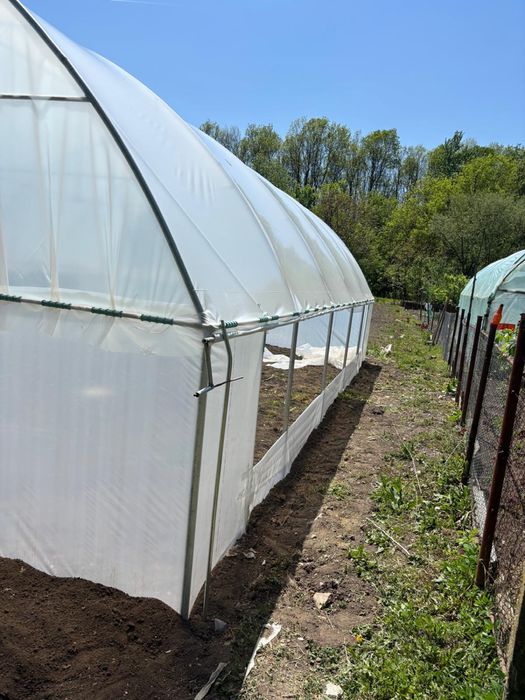 Execut SOLARII LA GATA (de la A la Z)