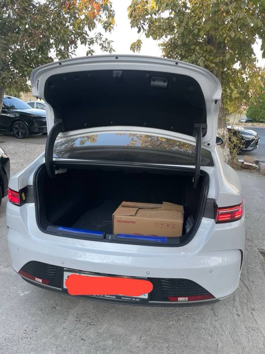 Byd chazor kraskasi tozza
