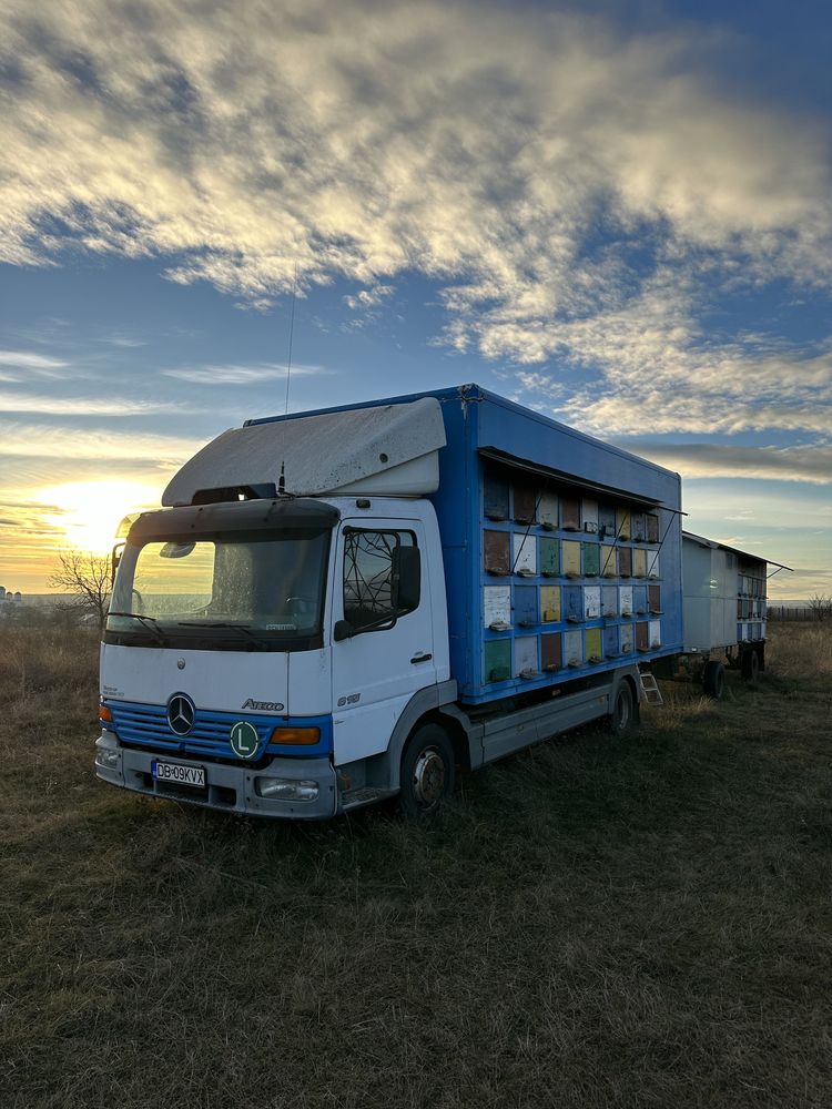 Camion si remorca apicola