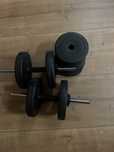 gantere 20kg , 10kg fiecare