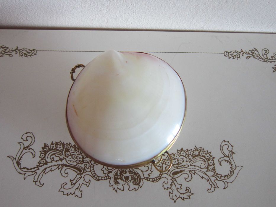 rar Cutie victoriana scoica Mother of pearl si alama handmade 1920