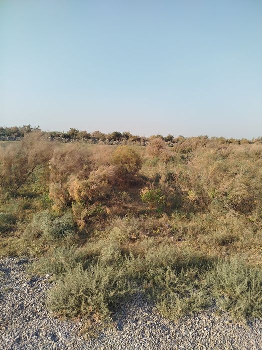 Участка сотилади срочна Уй жой учун