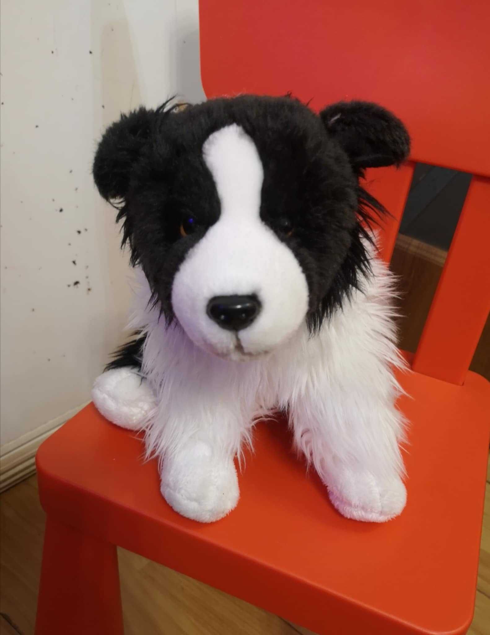 Plus câine,pufos, 50 cm