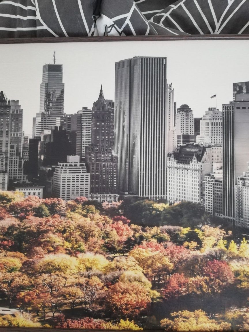 Tablou modern New York, central park