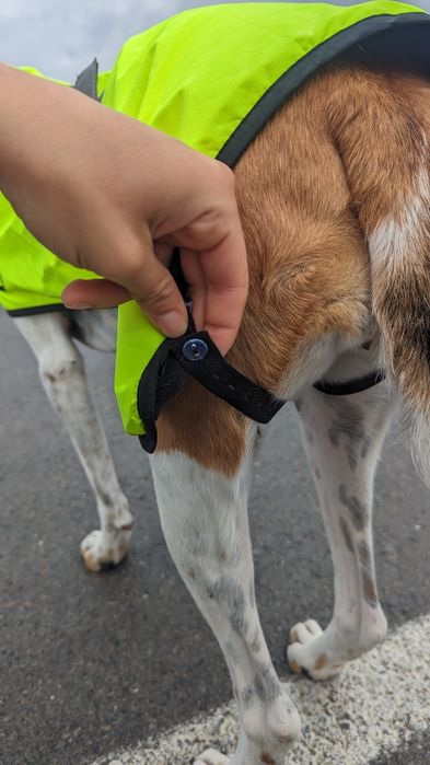 Непромокаеми дрехи за куче