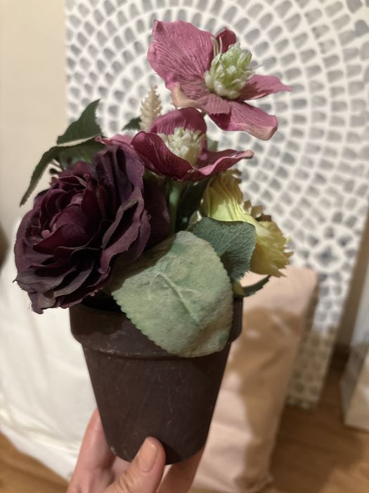 Лот пано и възглавници - резервирано!