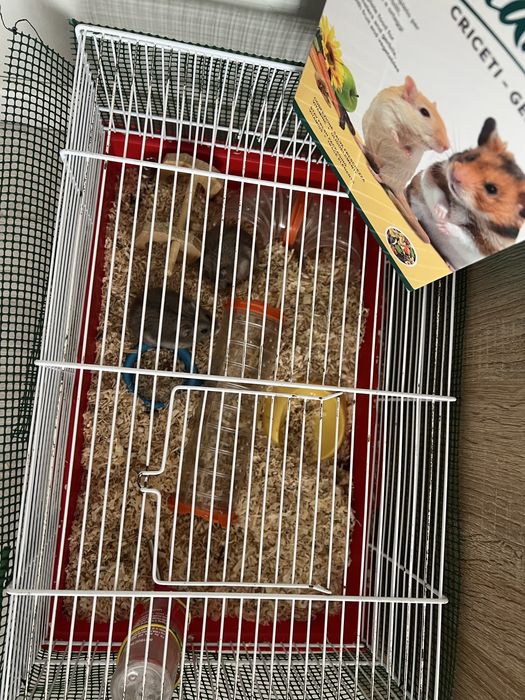 2 hamsteri + accesorii