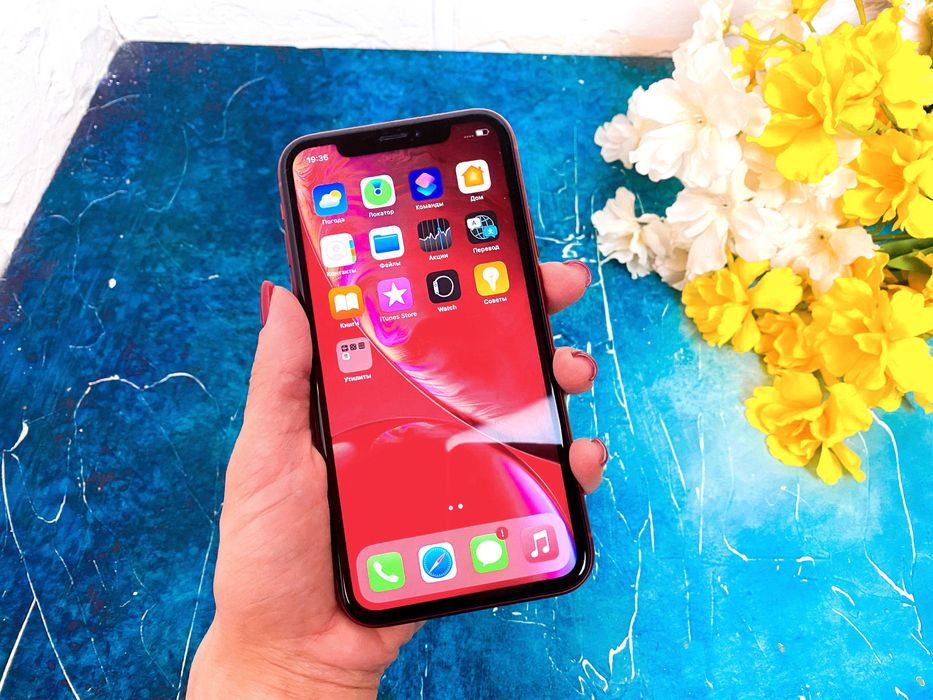 Iphone Xr 128GB Красный Рассрочка  Магазин Red Geek
