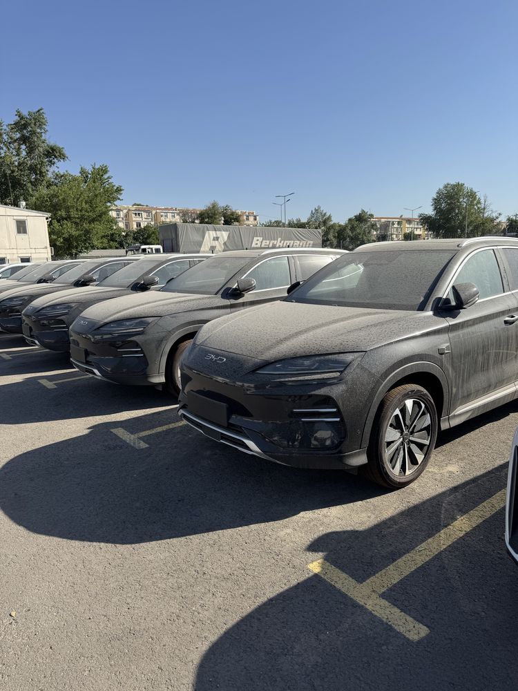 Byd Chempion smart qora Toshkentda