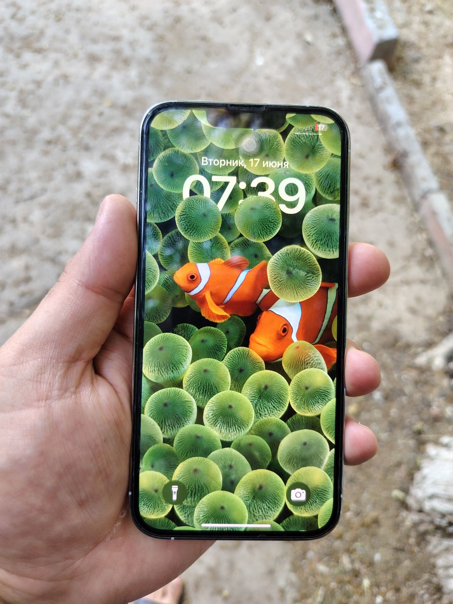 Ipxone 13 pro 128 gb