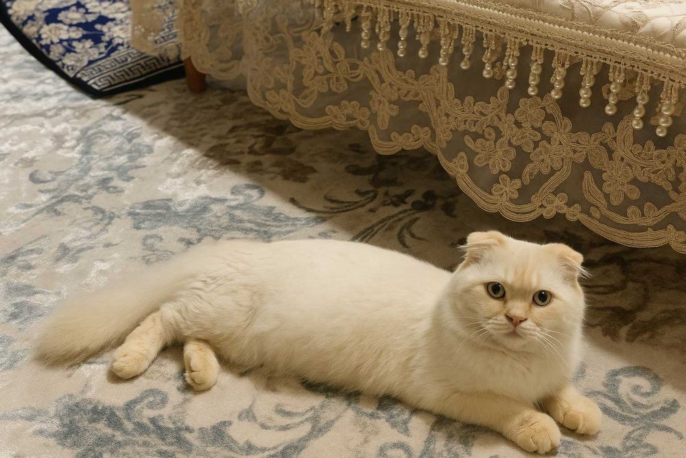 Hshsjxmdbkemsbdbxndnd