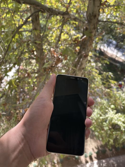 Samsung A8 (2018)