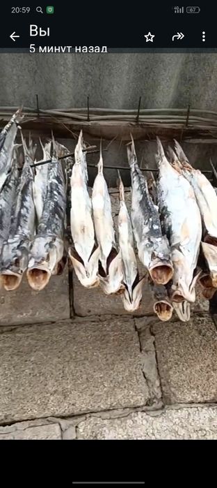 Рыба вяленная сушонная