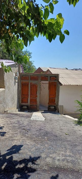 4 сотихли джиззах ховли город