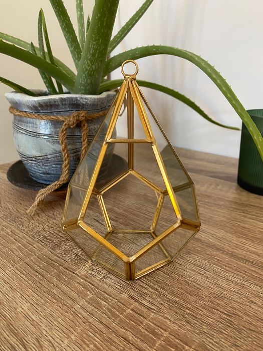 Терариум за растения - златен