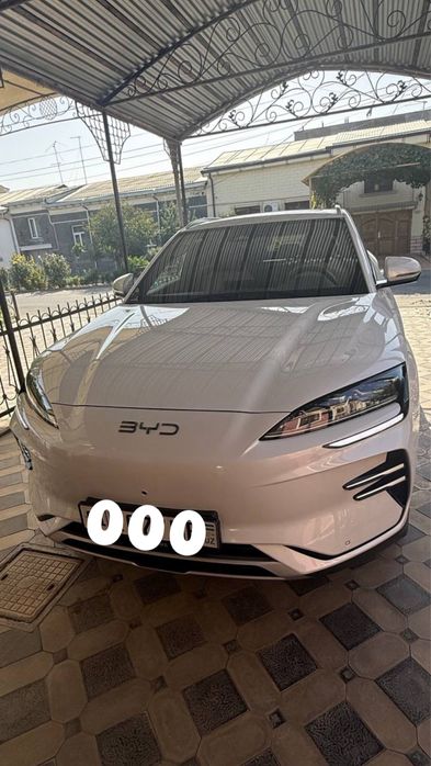 Byd Champion full 605