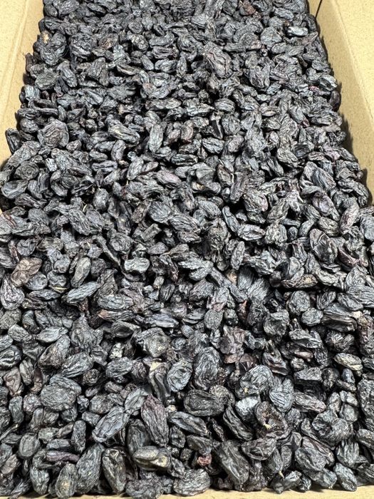 Кишмиш для кондитерства выпечки mayiz konditer pishiriq uchun кондитер