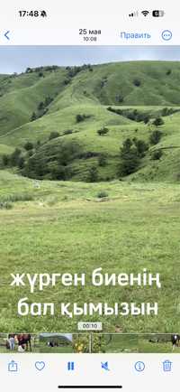 Кымыз чистый,кумыс таза табиги кымыз,қымыз