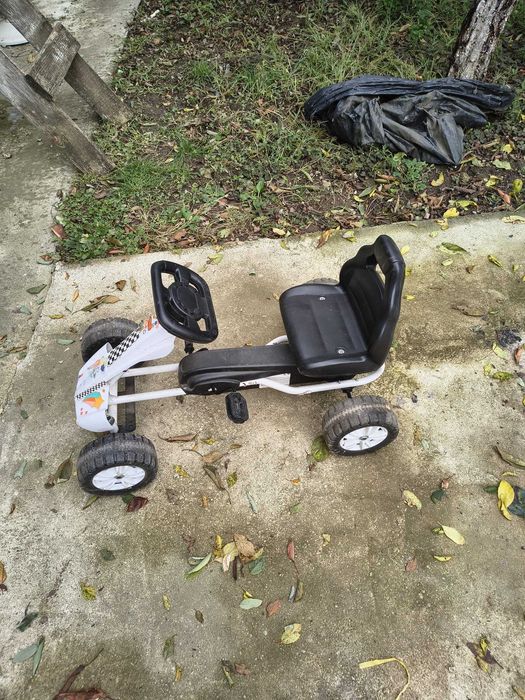 Vand kart stare buna, varsta 6-7 ani
