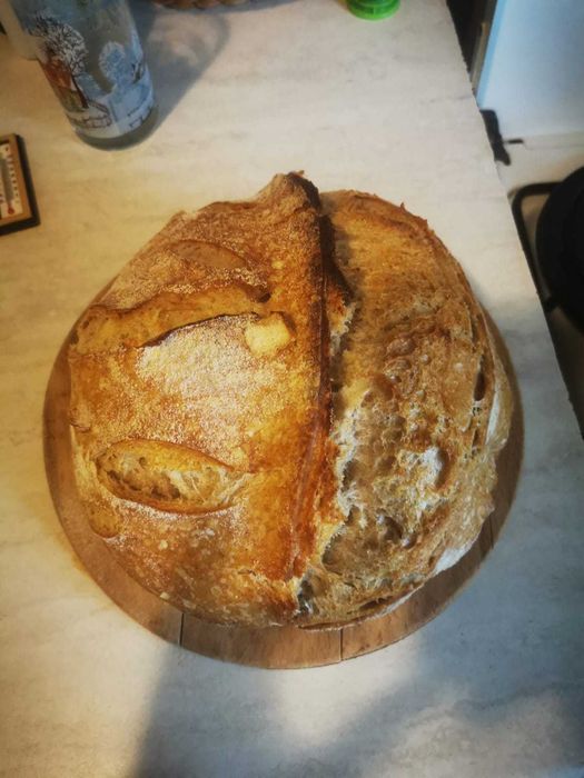 Maia salbatica din faina de grau (contine gluten)