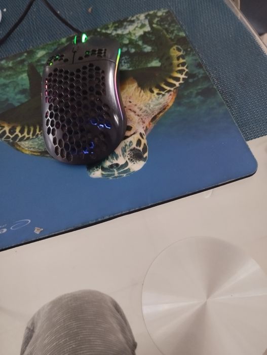 Mouse glorious model O matte black