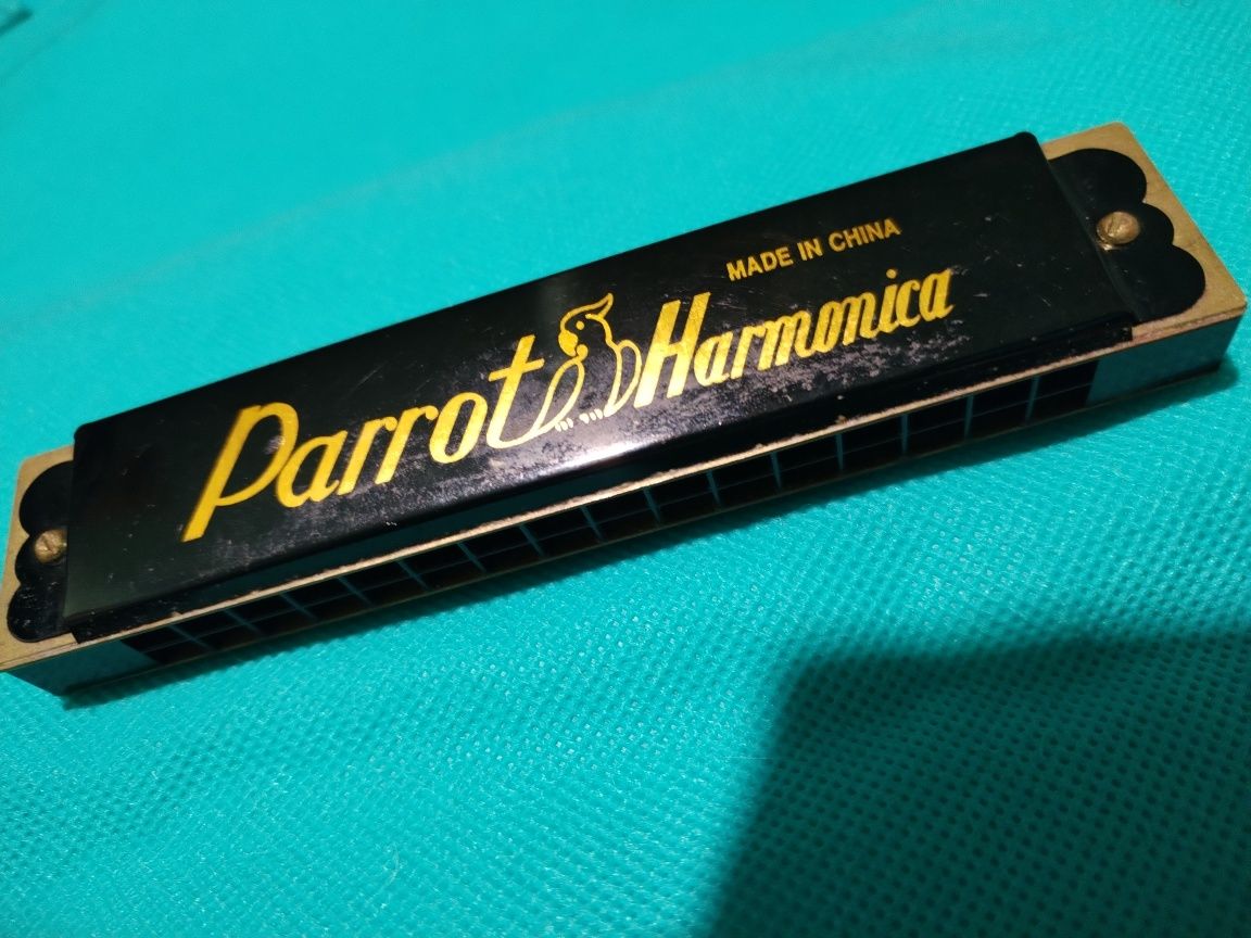 Harmonica Parrot