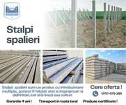 Stalpi spalieri din beton  pentru imprejmuiri si Garduri ornamentale