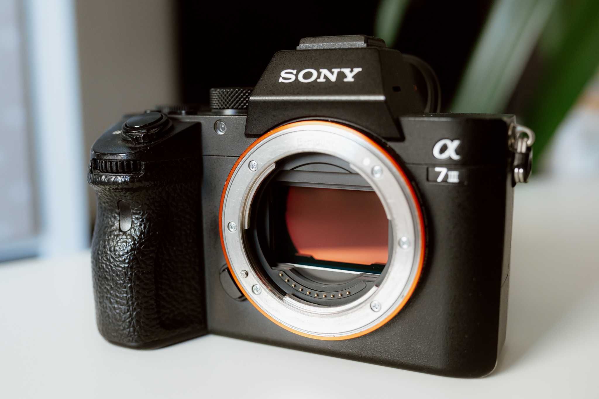 SONY A7III / A73 Camera Mirrorless 24MP - B