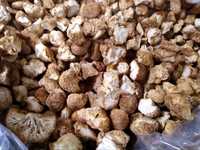 Ежовик гребенчатый 100 грамм 4000тг. и другие грибы с Алтая