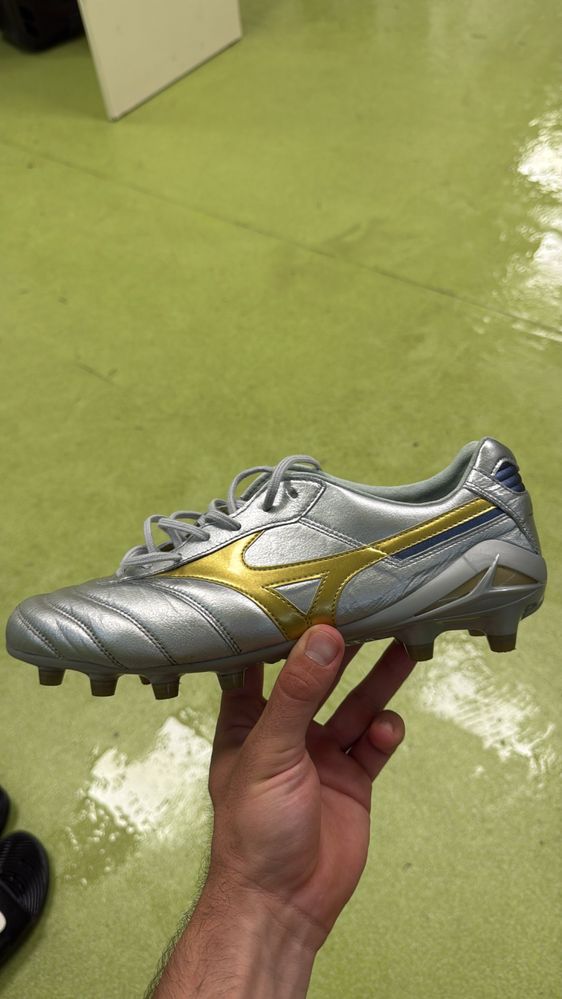 Mizuno morelia dna