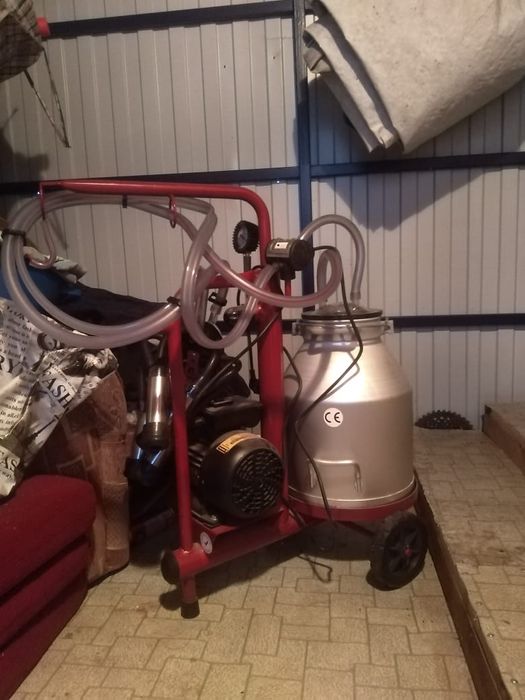 Доилныи опарат 2024