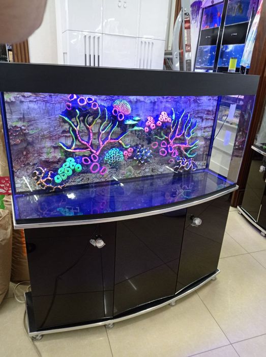 Akvaryum 150/200 litrlik New