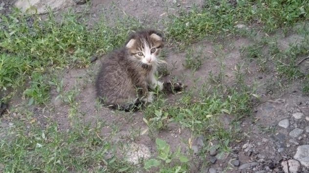 Всё для дома и хозяйства