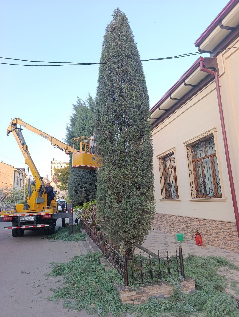 Archa kesish va Dorilash Mutaxassis.