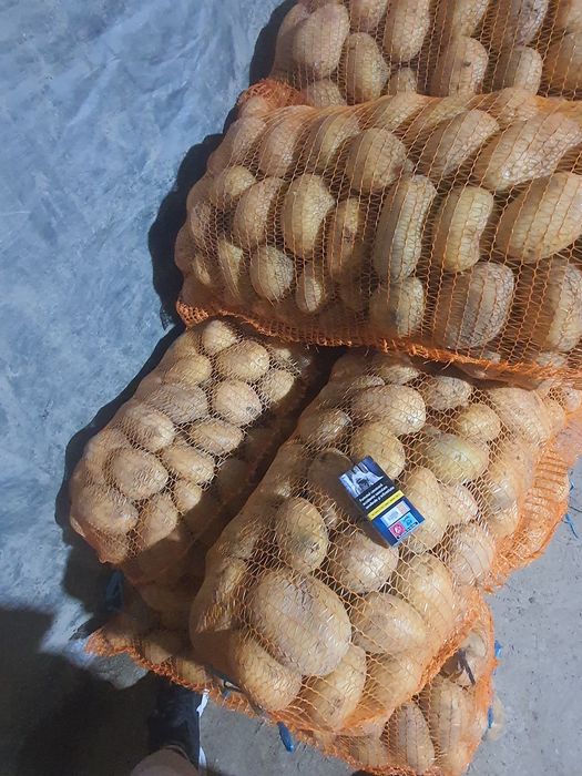 Vând cartofi consum