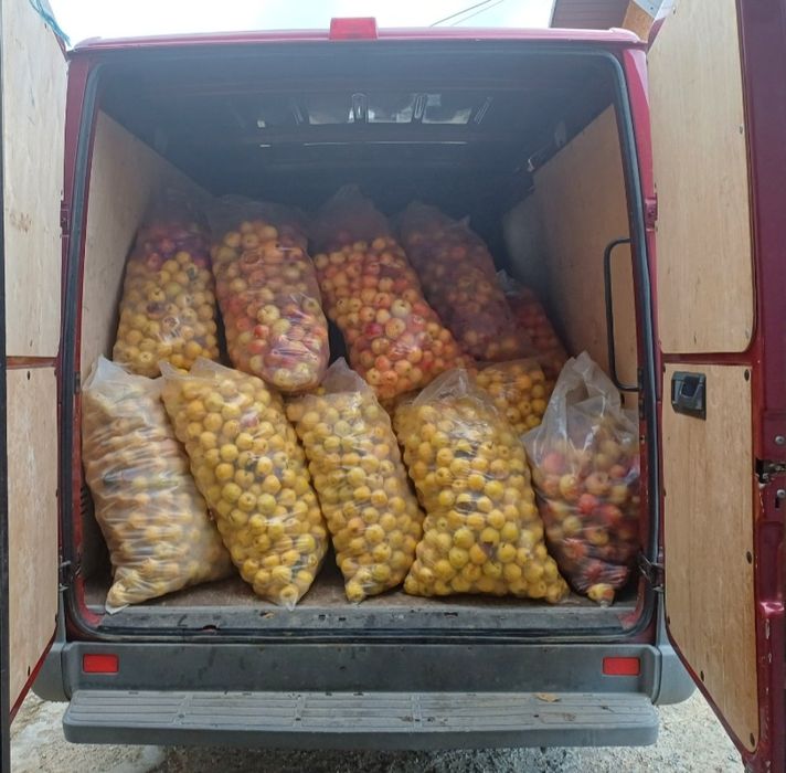 Vând mere pentru suc și industrie