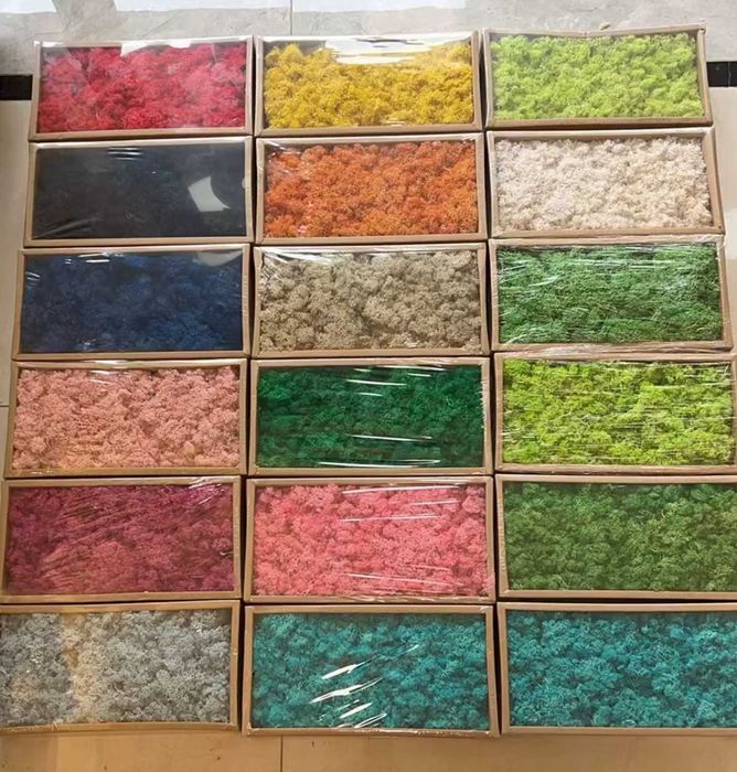 Пано от скандинавски мъх , картини скандинавски зелен мъх , декорация