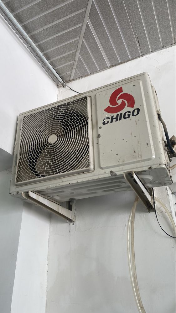 Chigo 19/12 tali 2 ta ishlab tutibti
