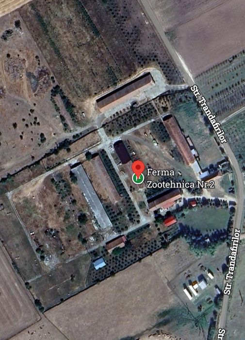 Ferma cu Teren 5ha in Masloc - Timis