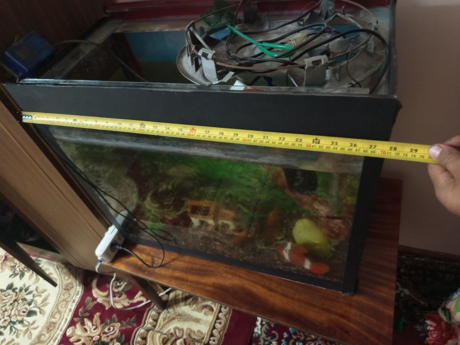 Аквариум сотилади баликлари билан