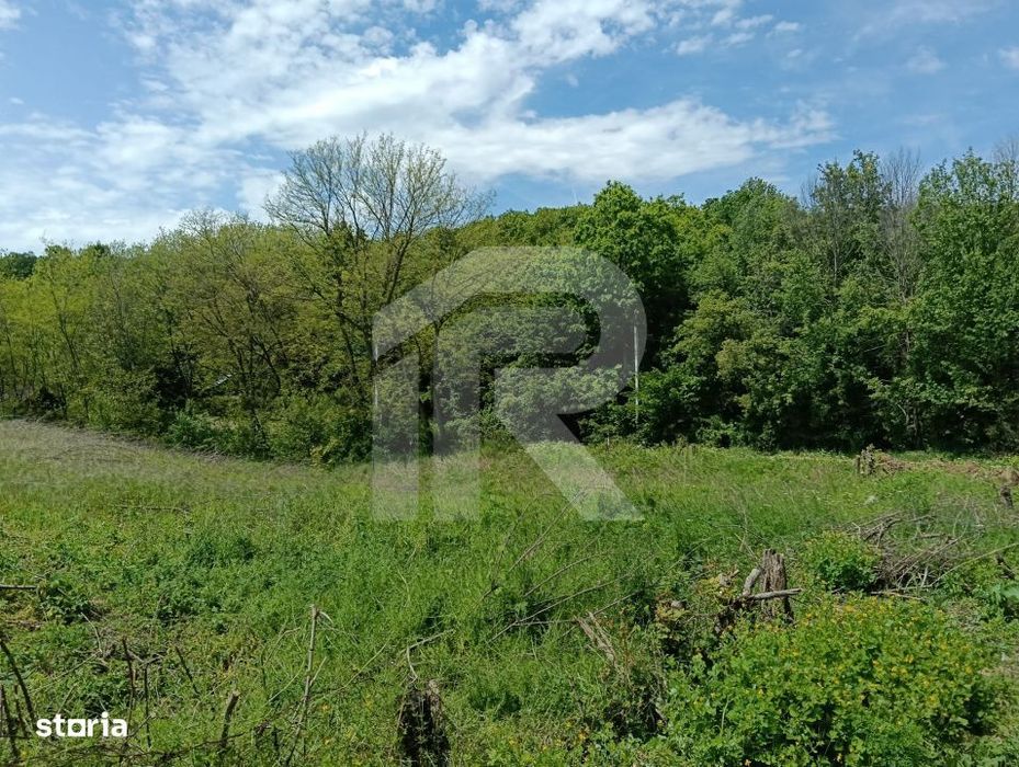 intravilan Tiparesti, relaxare aproape de padure