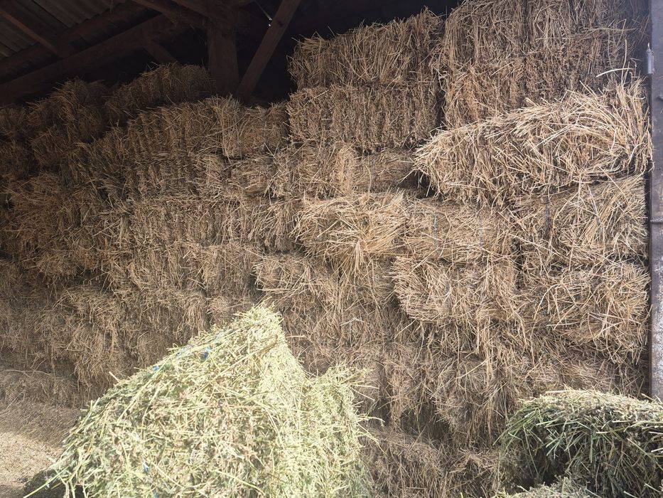 Vând baloti de fân Lucernă Producție 2025 trasport la domiciliu