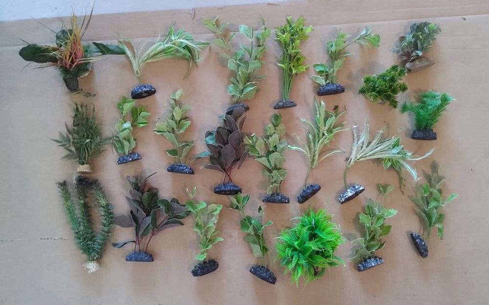 Plante pentru acvariu (200buc)