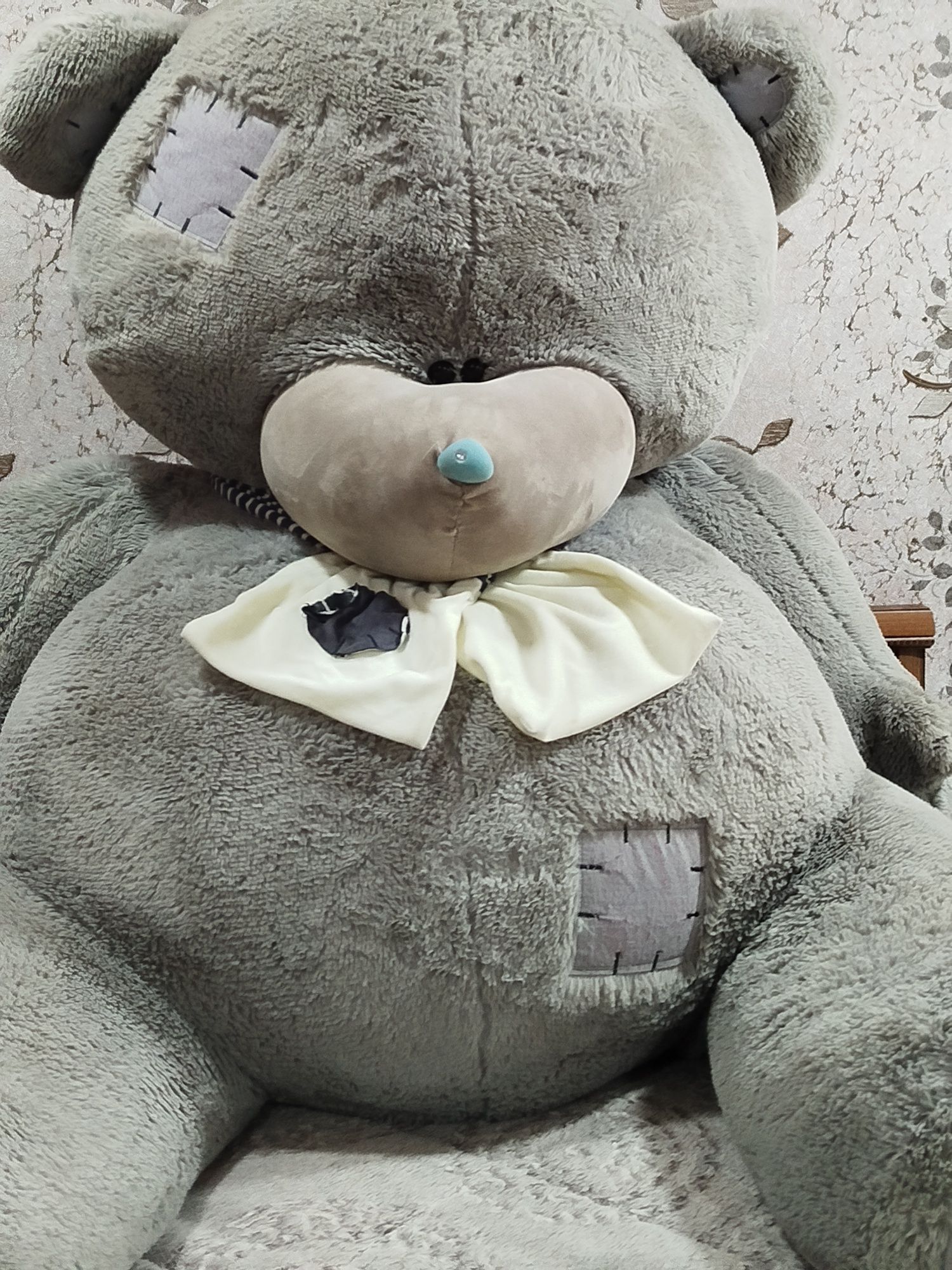 Kotta teddy ayiq