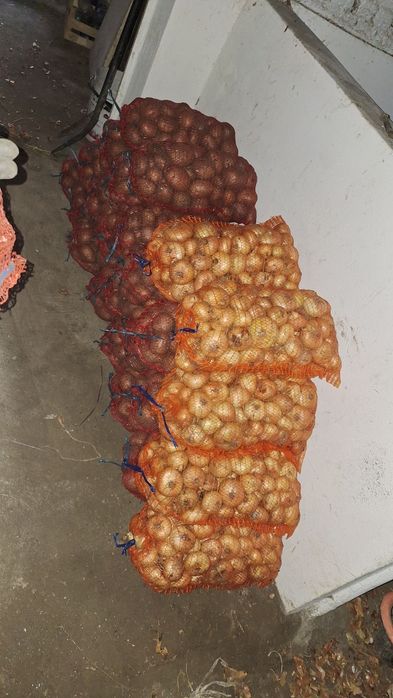 Cartofi Rosii, Ceapa alba, Varza, usturoi