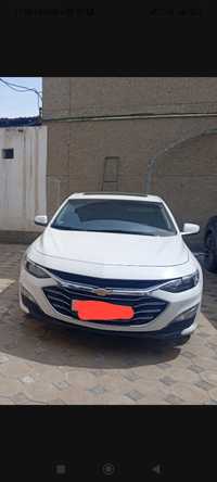 Malibu 2 1.5 Turbo 2020 yil oq