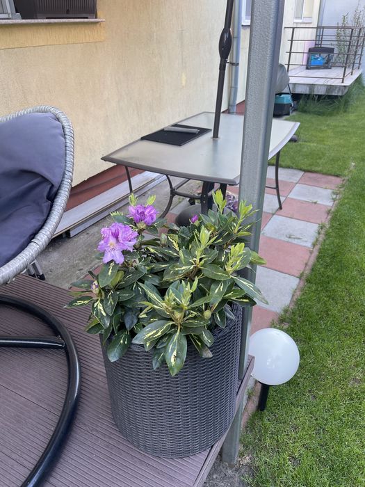 Mobiler de gradina set masa +scaune+ umbrela