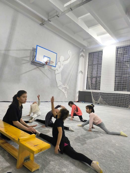 Кавер для гимнастики